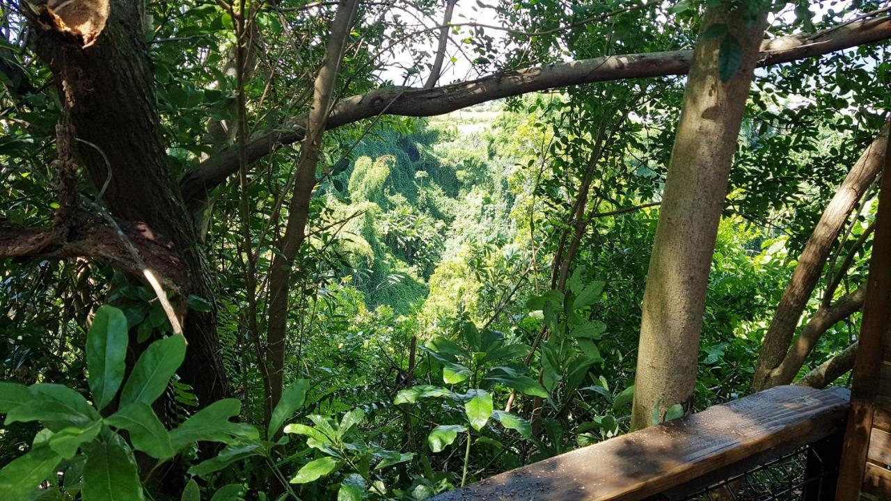 Le Lodge Origin Sainte-Suzanne Eksteriør bilde